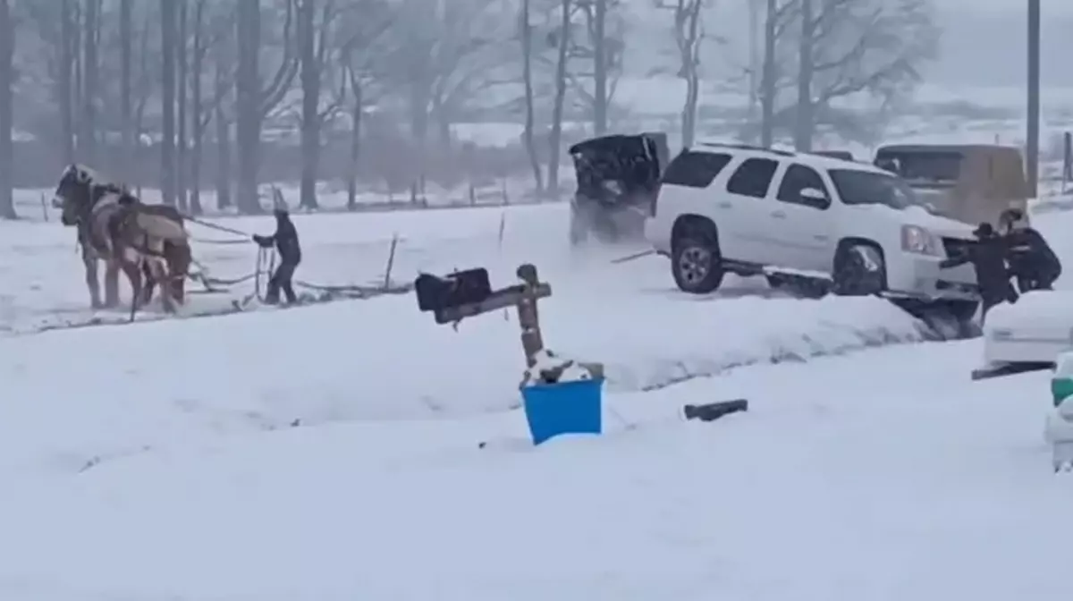 В США застрявший в снегу внедорожник удалось вытянуть конской упряжкой