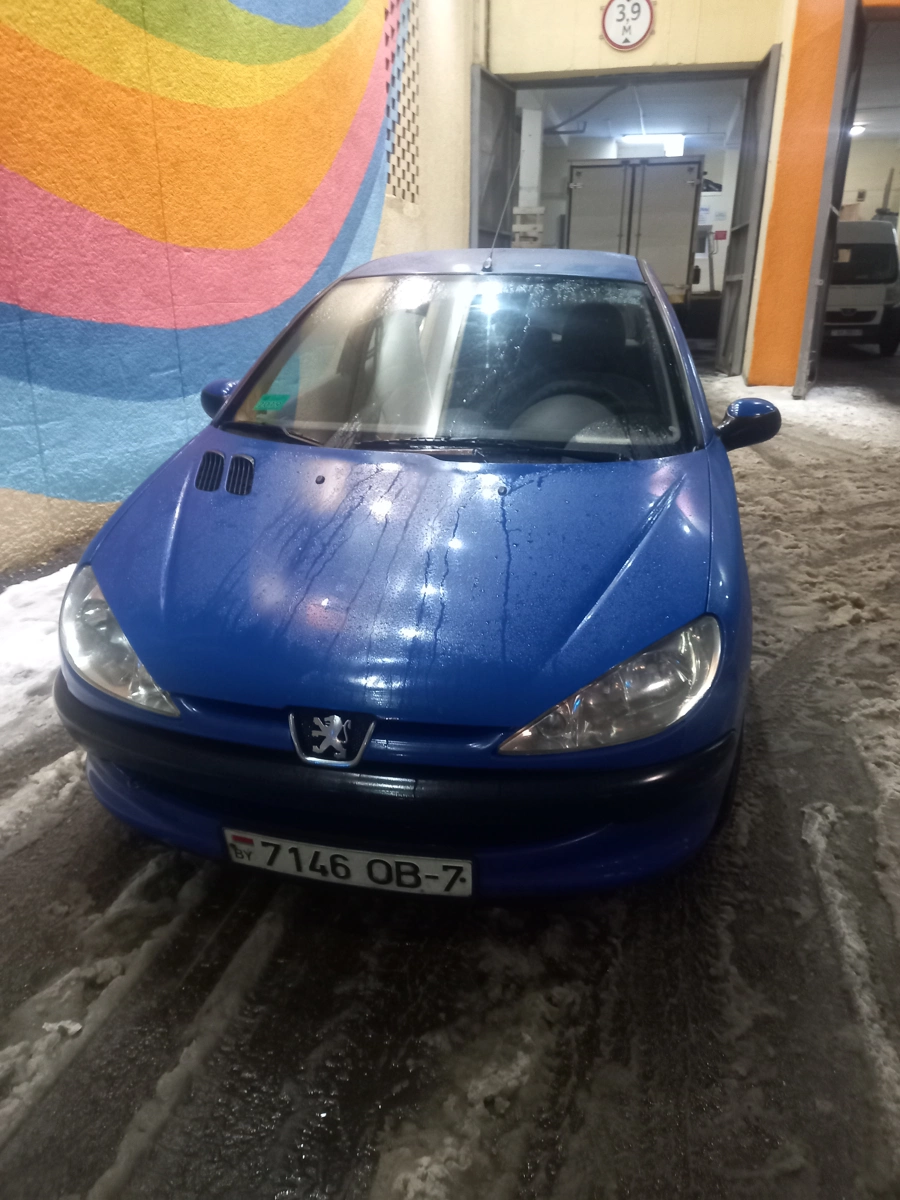 Peugeot 206 I, 2003