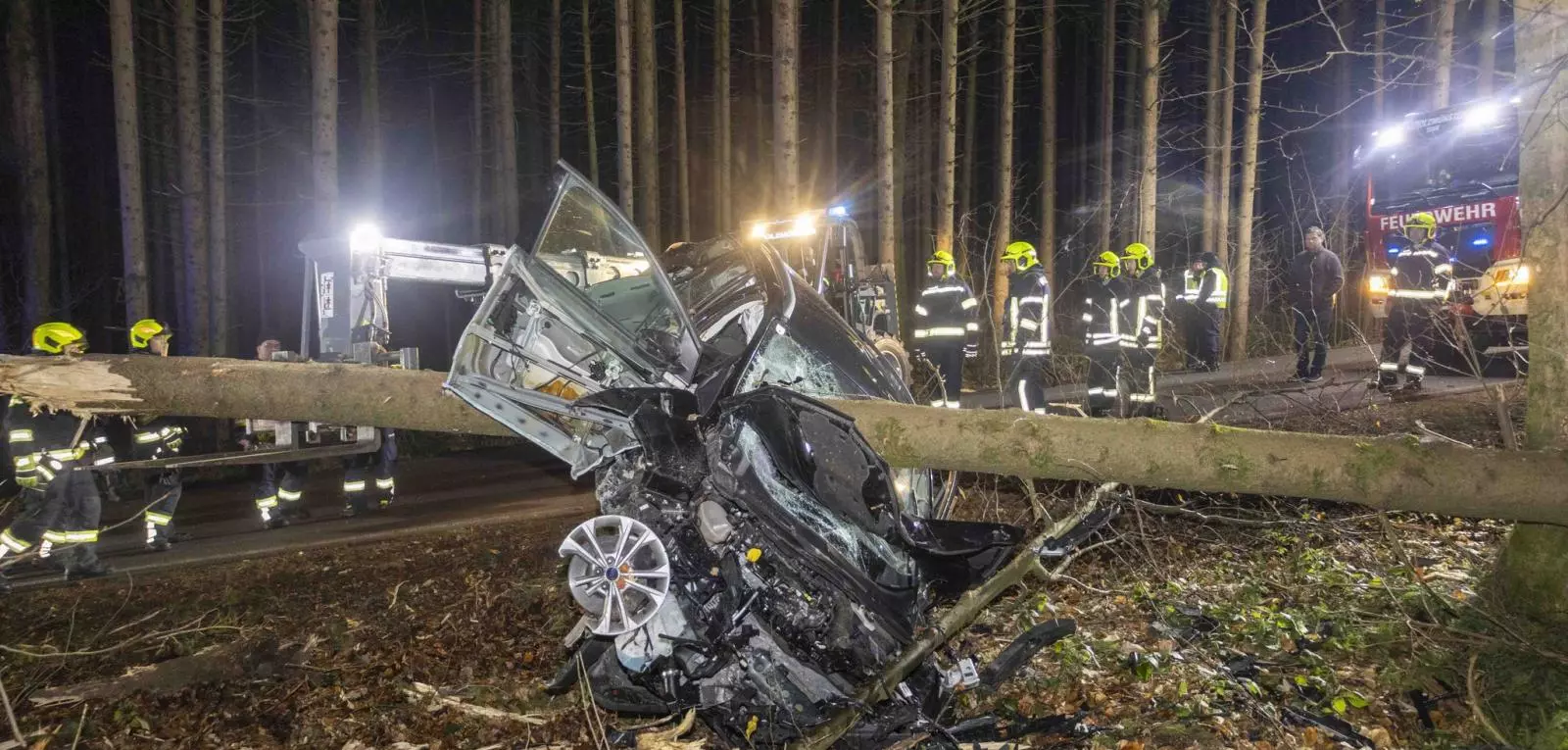 В Австрии во время аварии автомобиль нанизался на ствол дерева