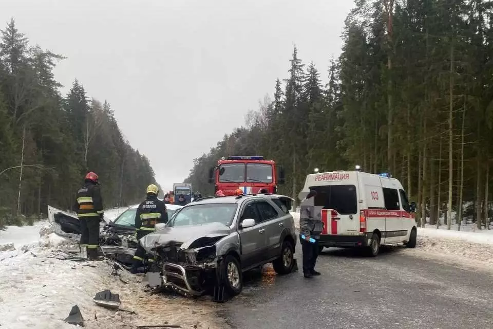 Под Полоцком Kia врезался на встречке в Renault Logan – погибли два человека
