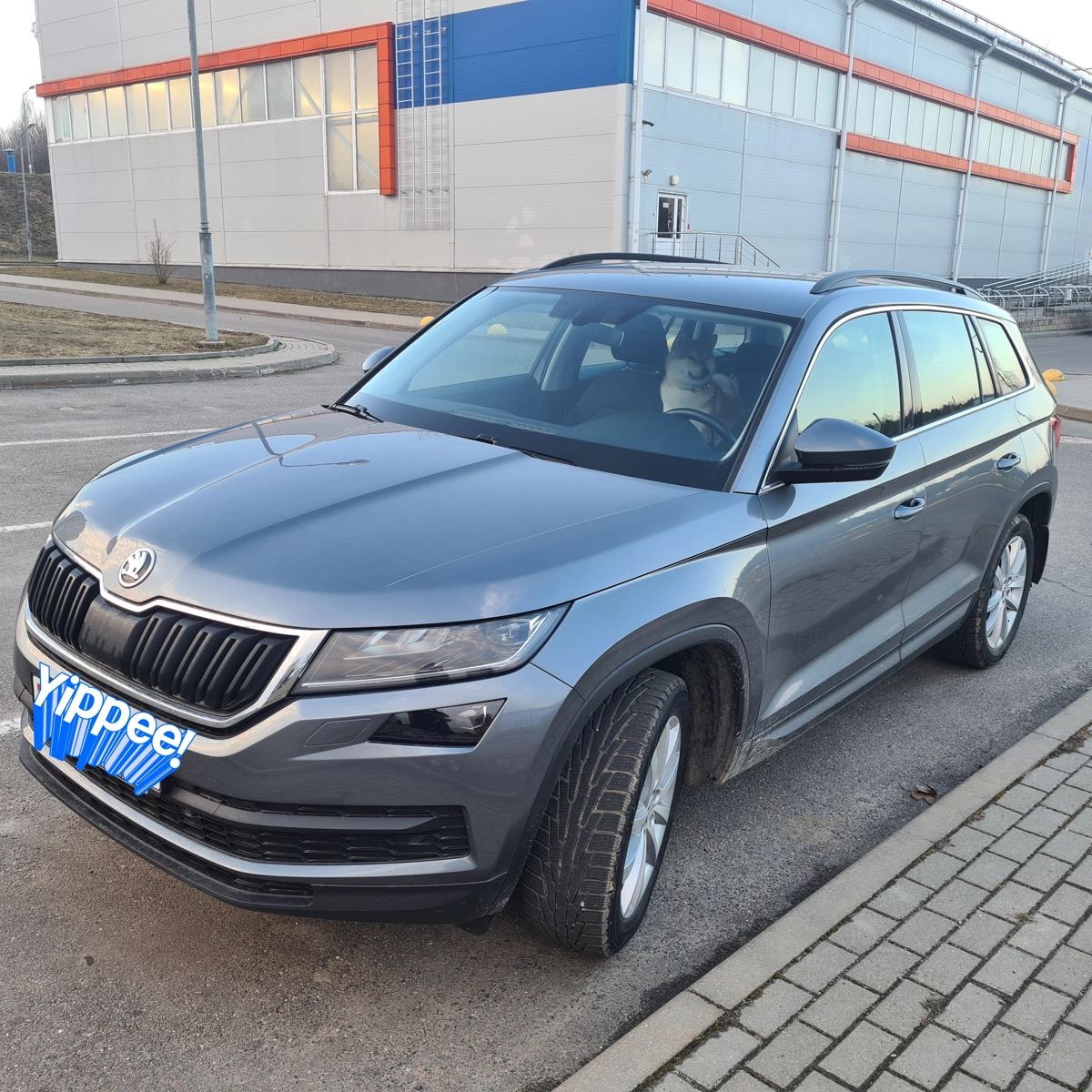Skoda Kodiaq I, 2018
