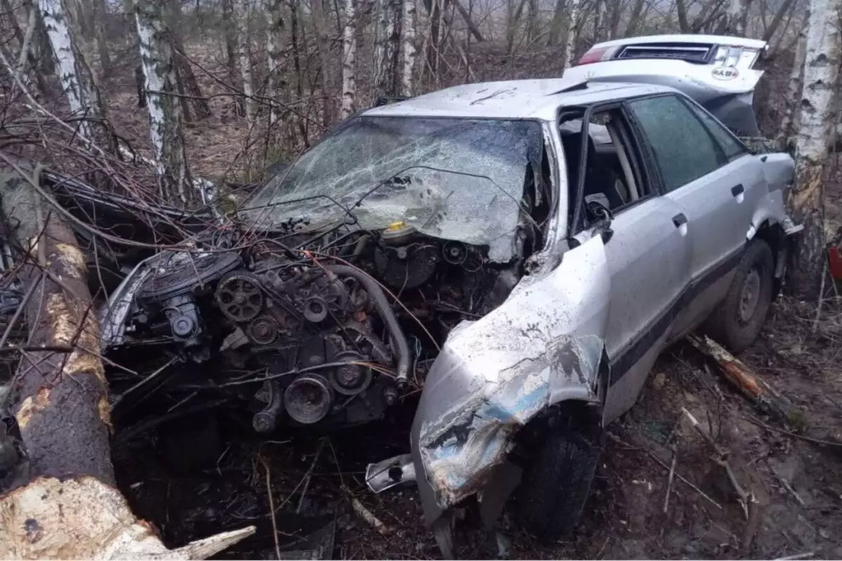 В Гомельской области Audi разбился о дерево – пострадал непристегнутый пассажир