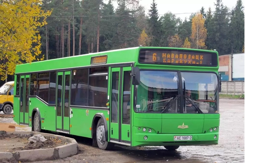 В Новополоцке водителя легковушки осудили за смерть пассажирки автобуса