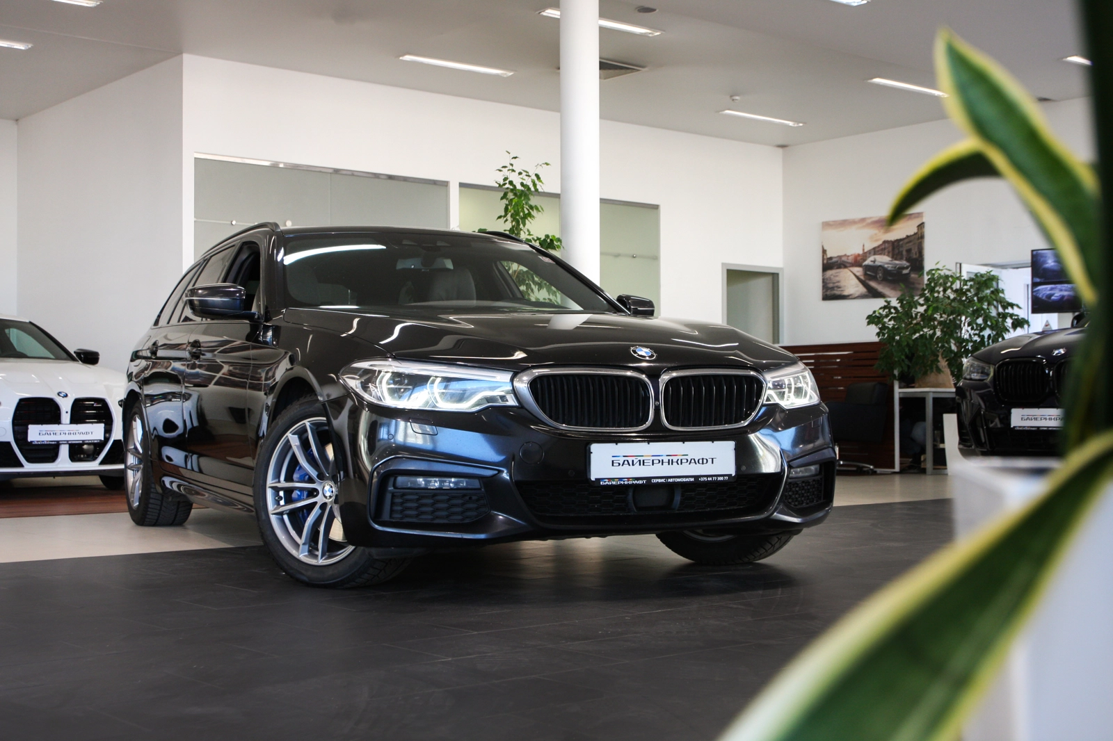 BMW 5 series VII (G30/G31), 2019