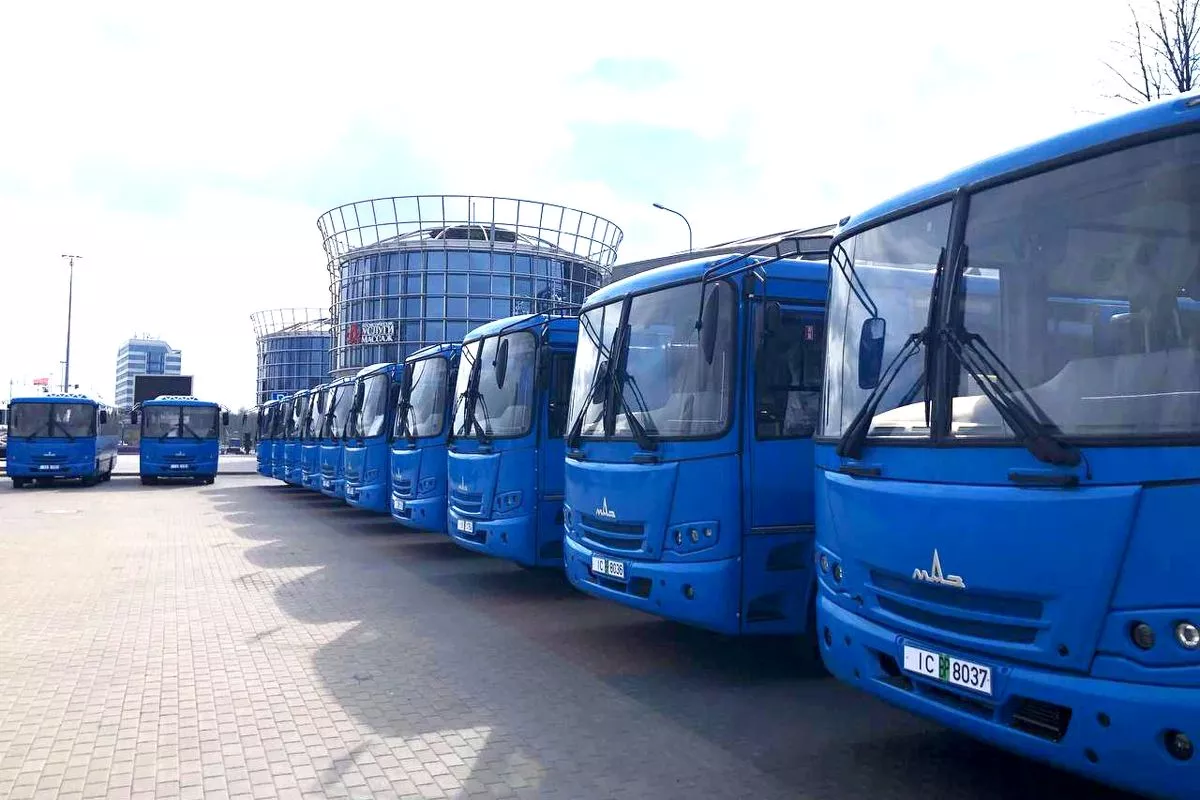 Новые автобусы МАЗ пополнили автопарки Гродненщины и Минщины