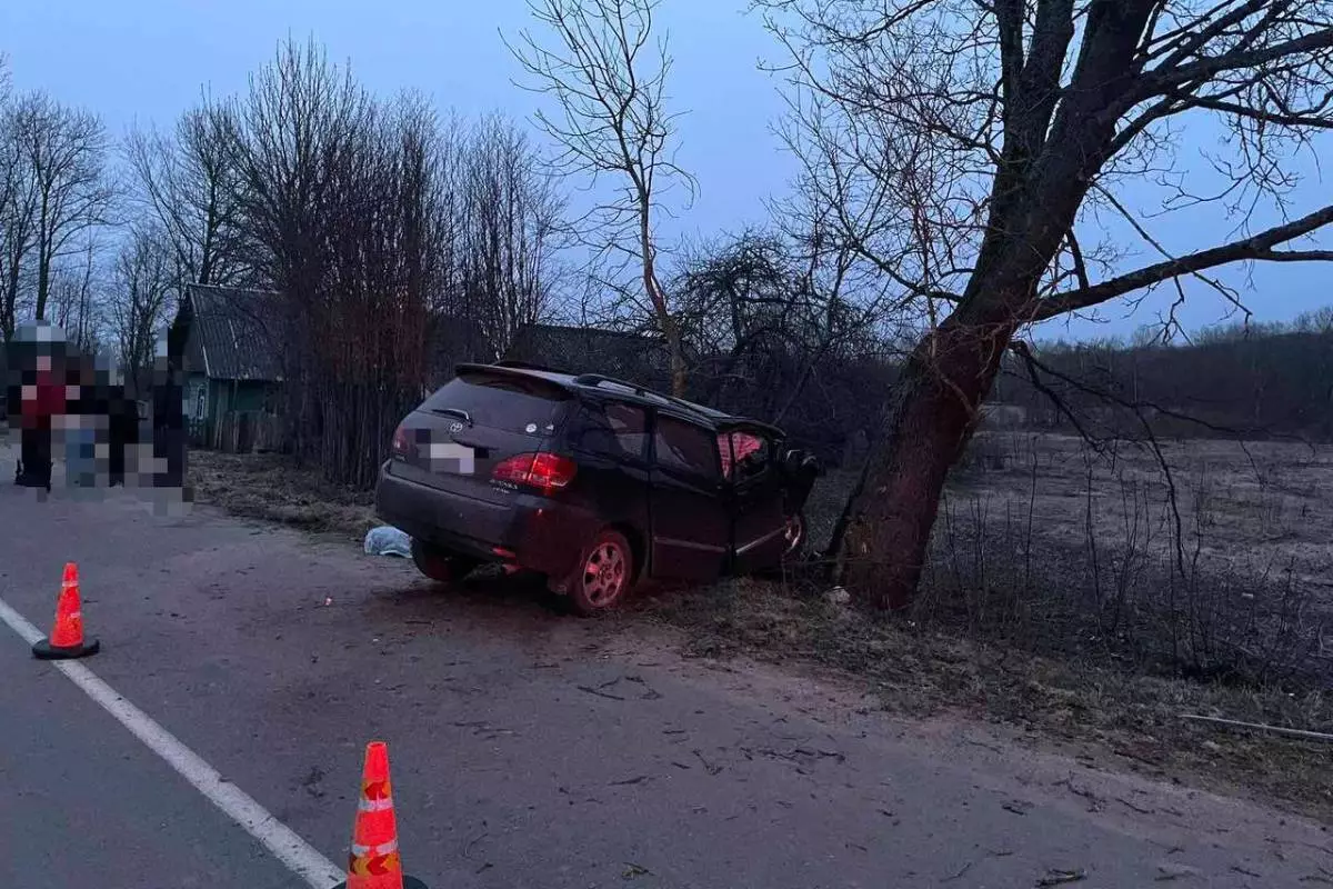 Водитель Toyota погиб в аварии в Крупском районе