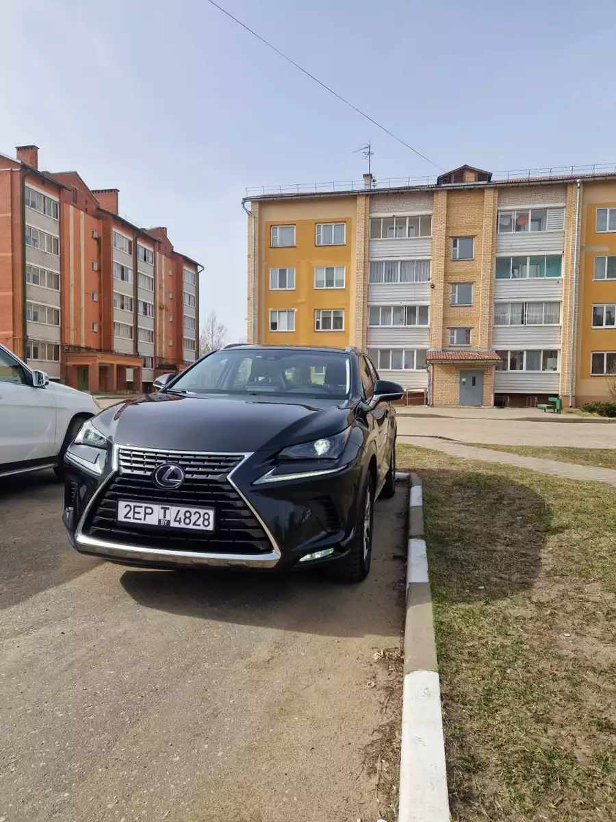 Lexus NX I Рестайлинг, 2019