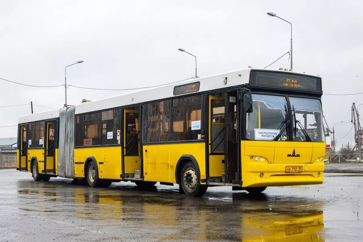 Сочлененный автобус МАЗ-105 прибыл в Пермь со специальной миссией