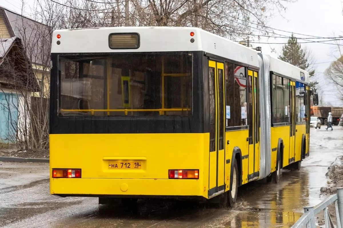 Сочлененный автобус МАЗ-105 прибыл в Пермь со специальной миссией