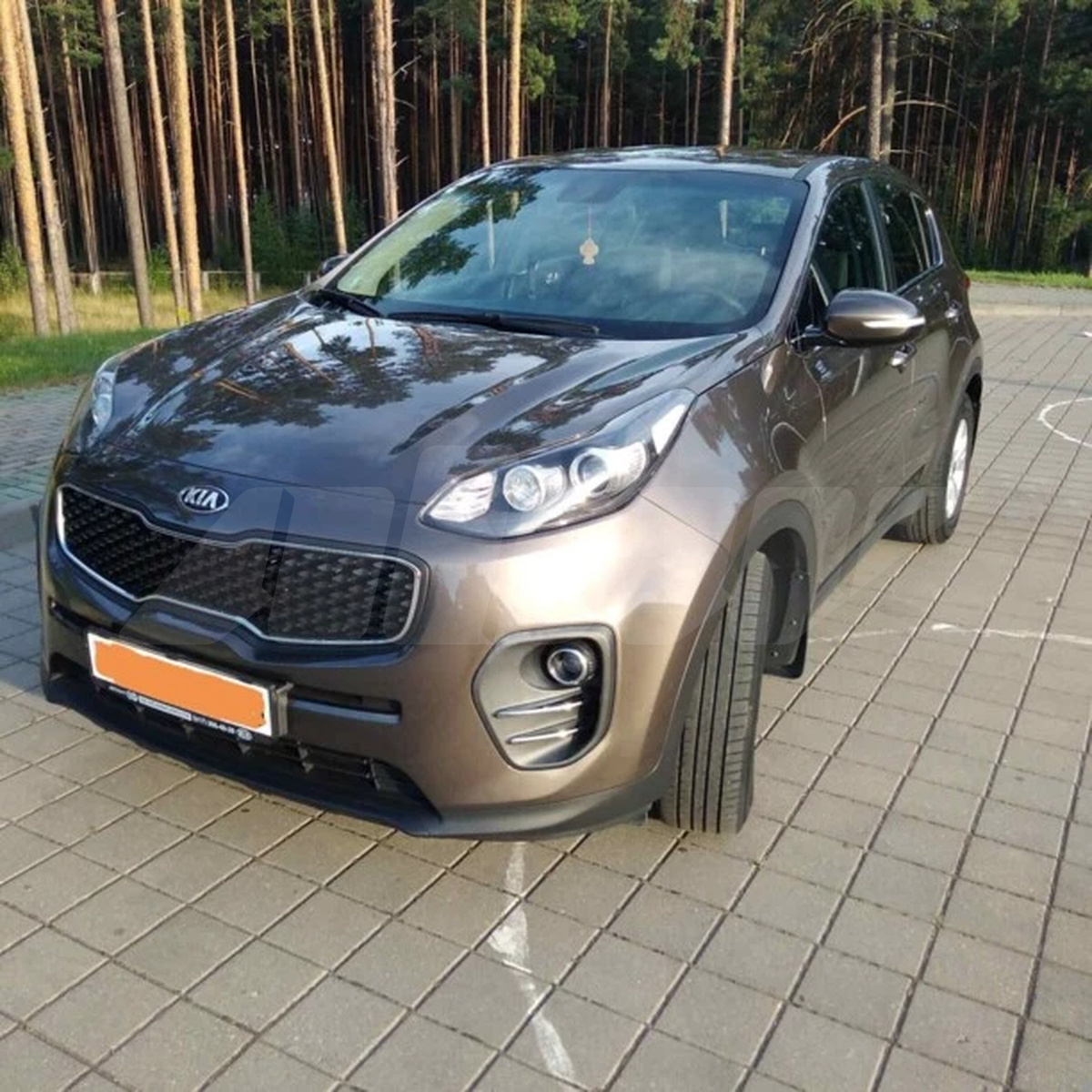 Kia Sportage IV, 2017