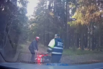 Нетрезвый водитель мопеда заехал в лес и упал во время погони