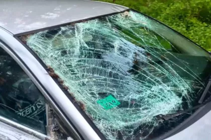 В Минске водитель Volvo сбил лося