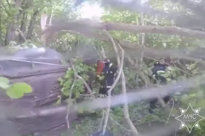 Под Копылем Audi вылетел в дерево – погиб пассажир