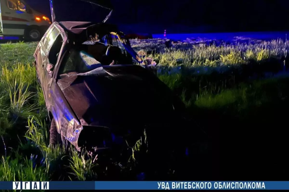 20-летний водитель Volkswagen погиб при наезде на лося на трассе М8