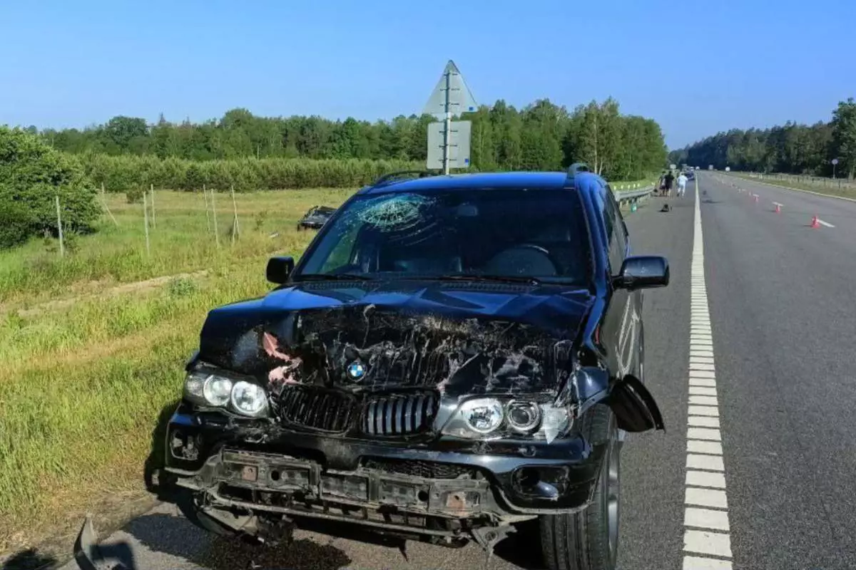 Водитель Audi погиб в попутном столкновении на трассе Минск – Гомель