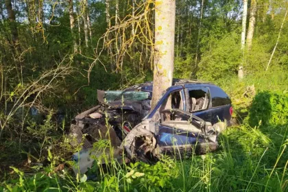 При вылете Chrysler в дерево водитель получил смертельные травмы