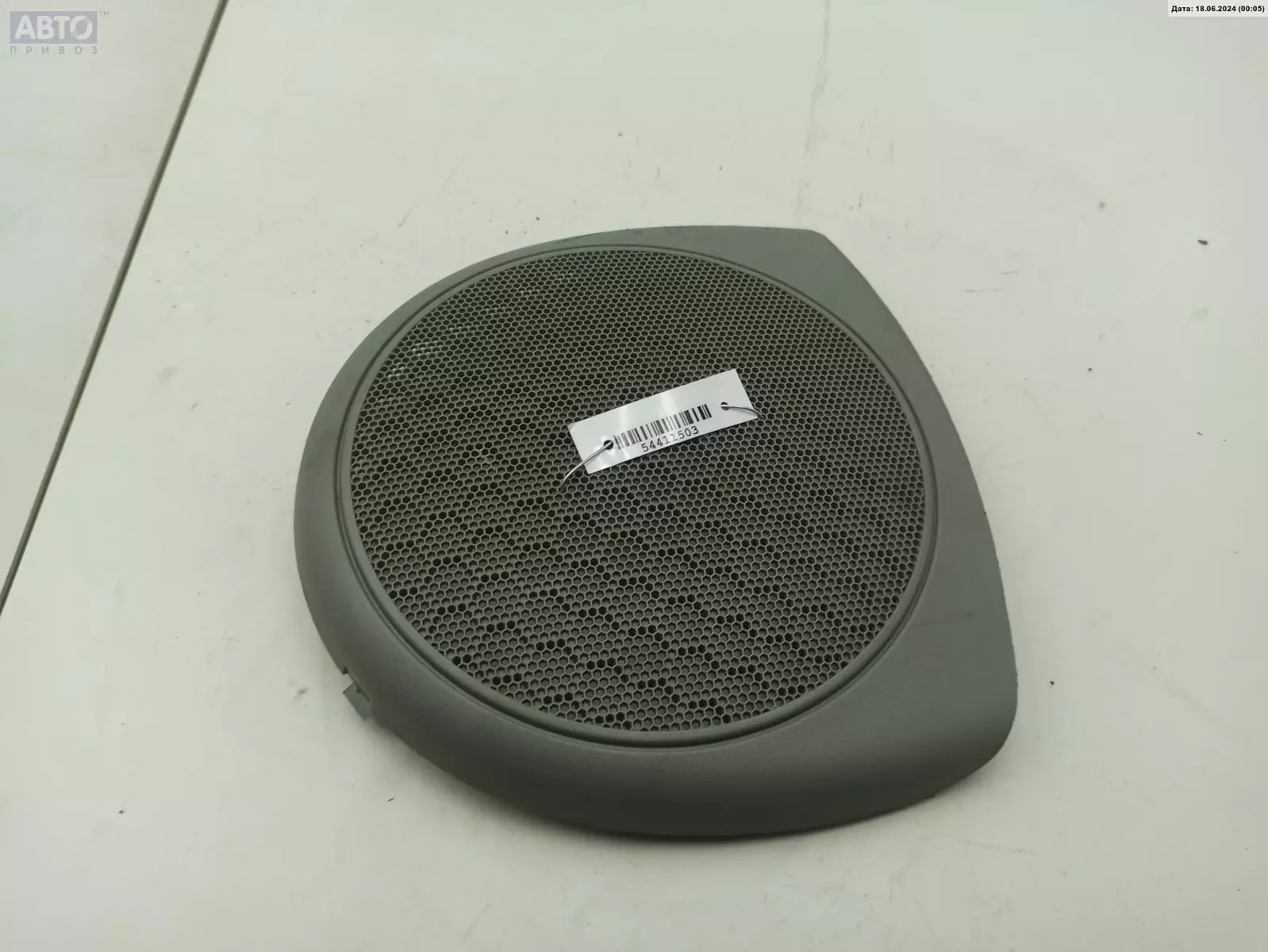 Решетка динамика к Renault Scenic 2000