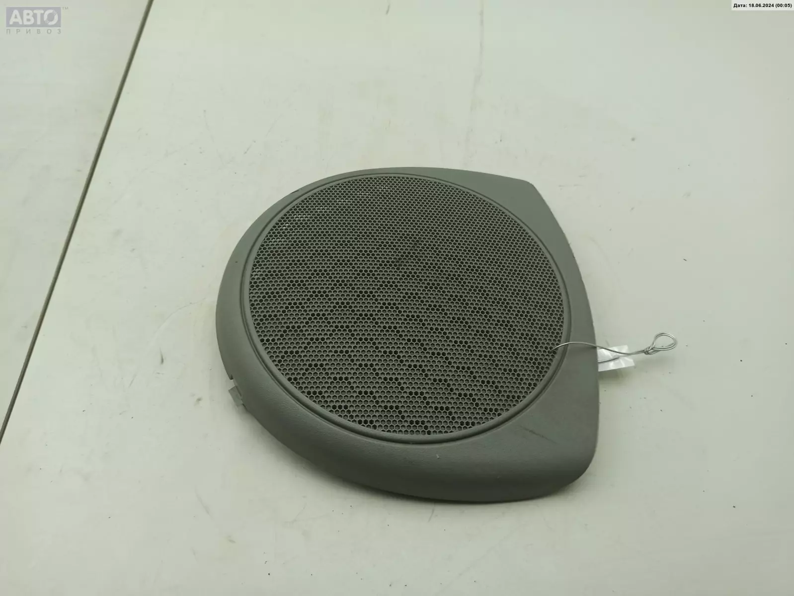 Решетка динамика к Renault Scenic 2000