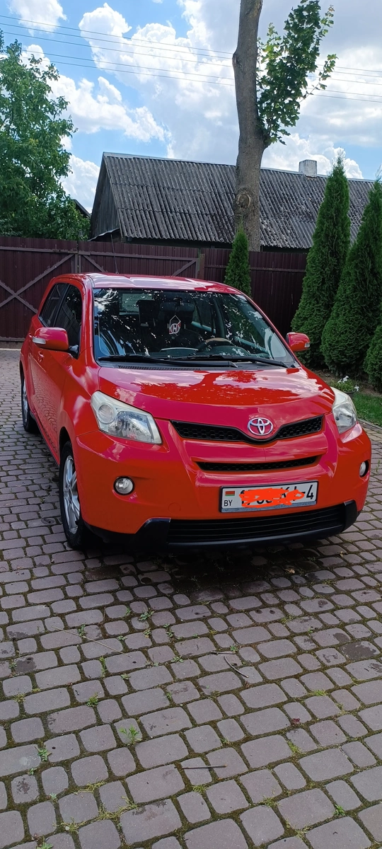 Toyota Urban Cruiser XP110, 2009