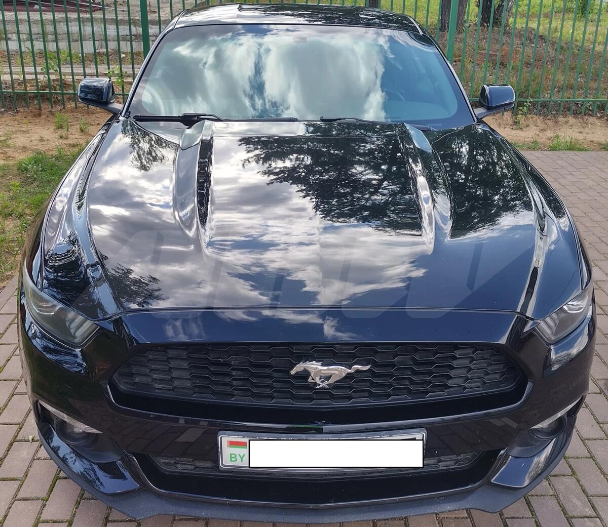 Ford Mustang VI, 2016