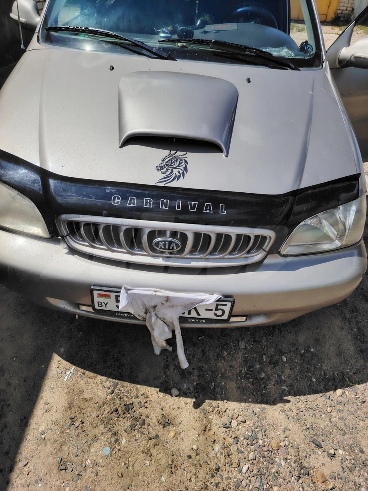 Kia Carnival I, 1999