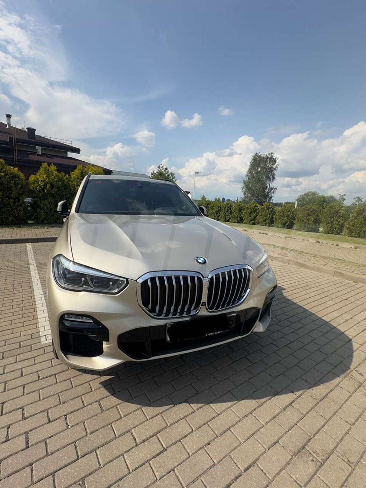 BMW X5 IV (G05/G18), 2019