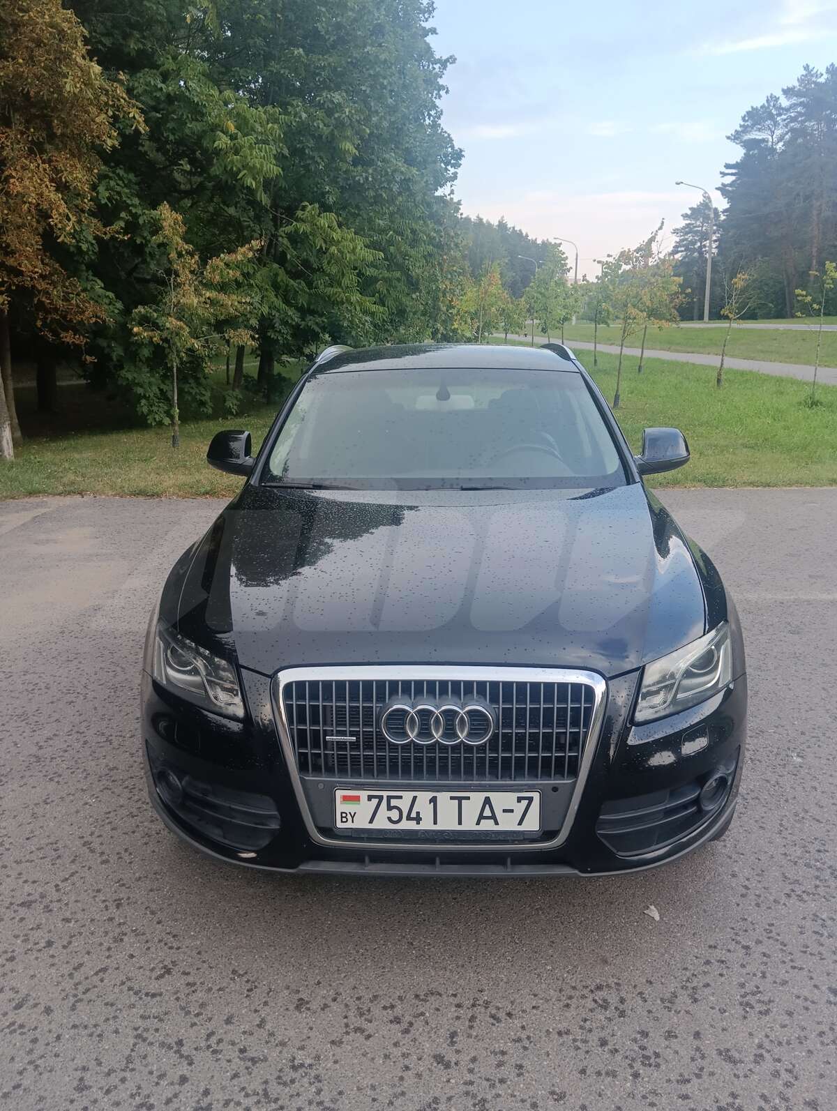 Audi Q5 I (8R), 2010
