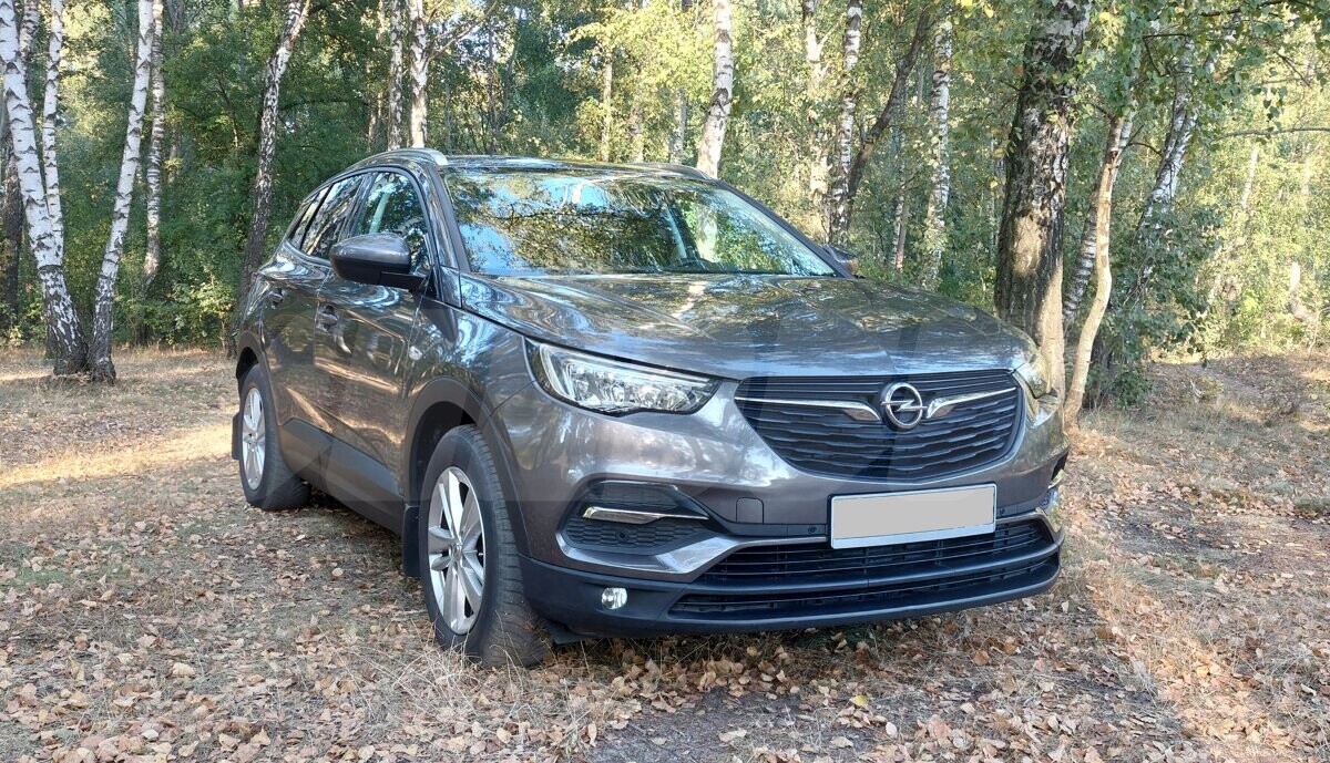 Opel Grandland X I, 2020
