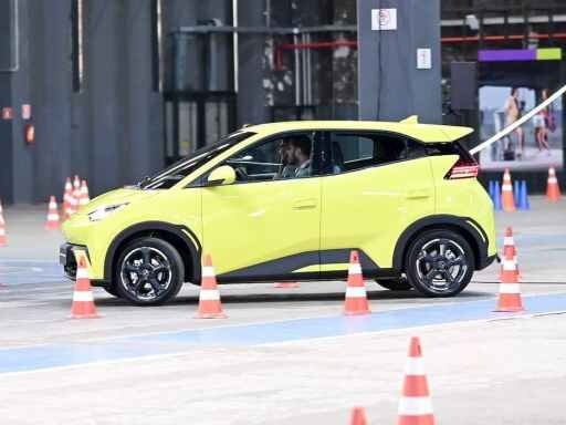 BYD активно нанимает молодых специалистов, опережая всех в отрасли