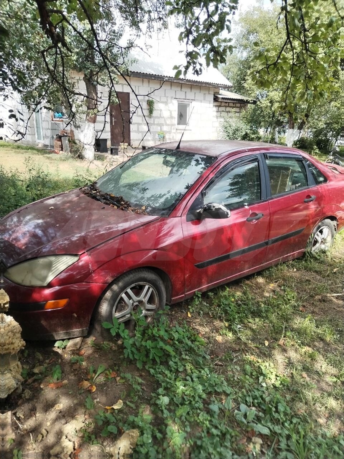Ford Focus (North America) I, 2000