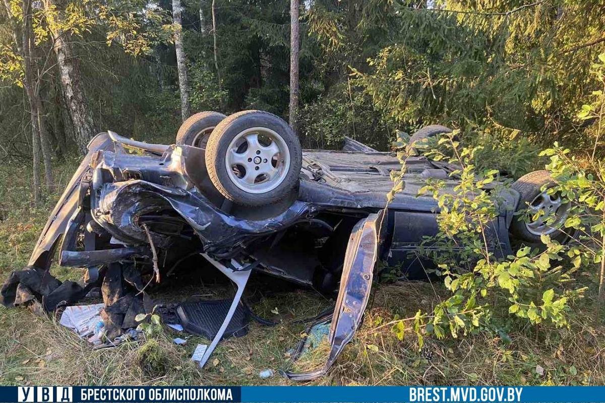 На автодороге Р99 водитель пытался избежать наезда на сохатого, но потерял управление