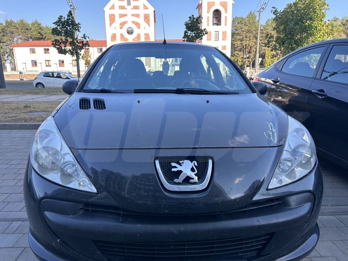 Peugeot 206 I, 2010
