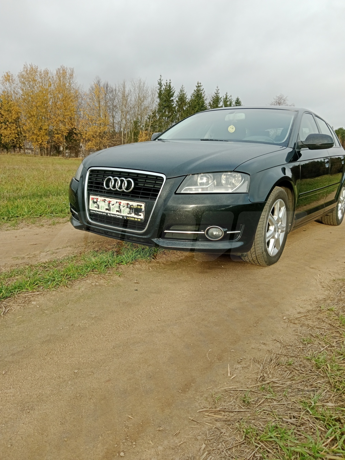 Audi A3 II (8P) Рестайлинг 2, 2010