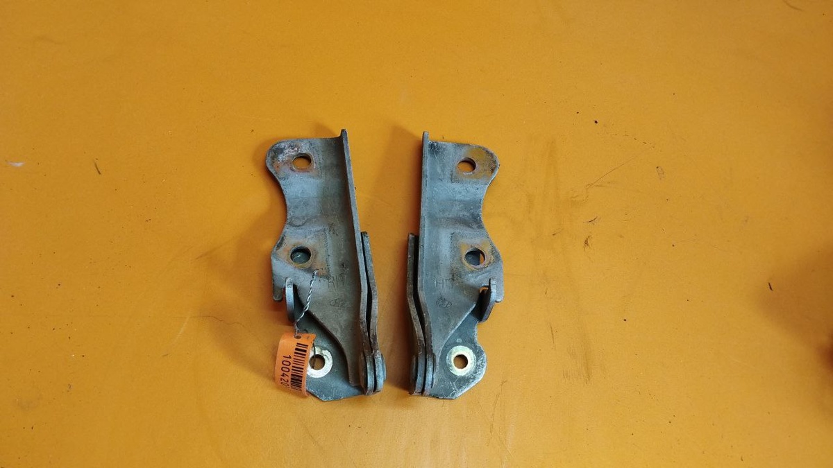 Петли к Hyundai Terracan 2004