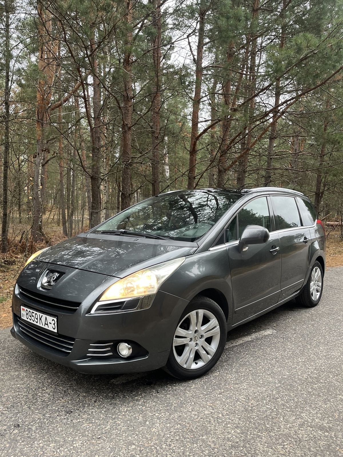 Peugeot 5008 I, 2010