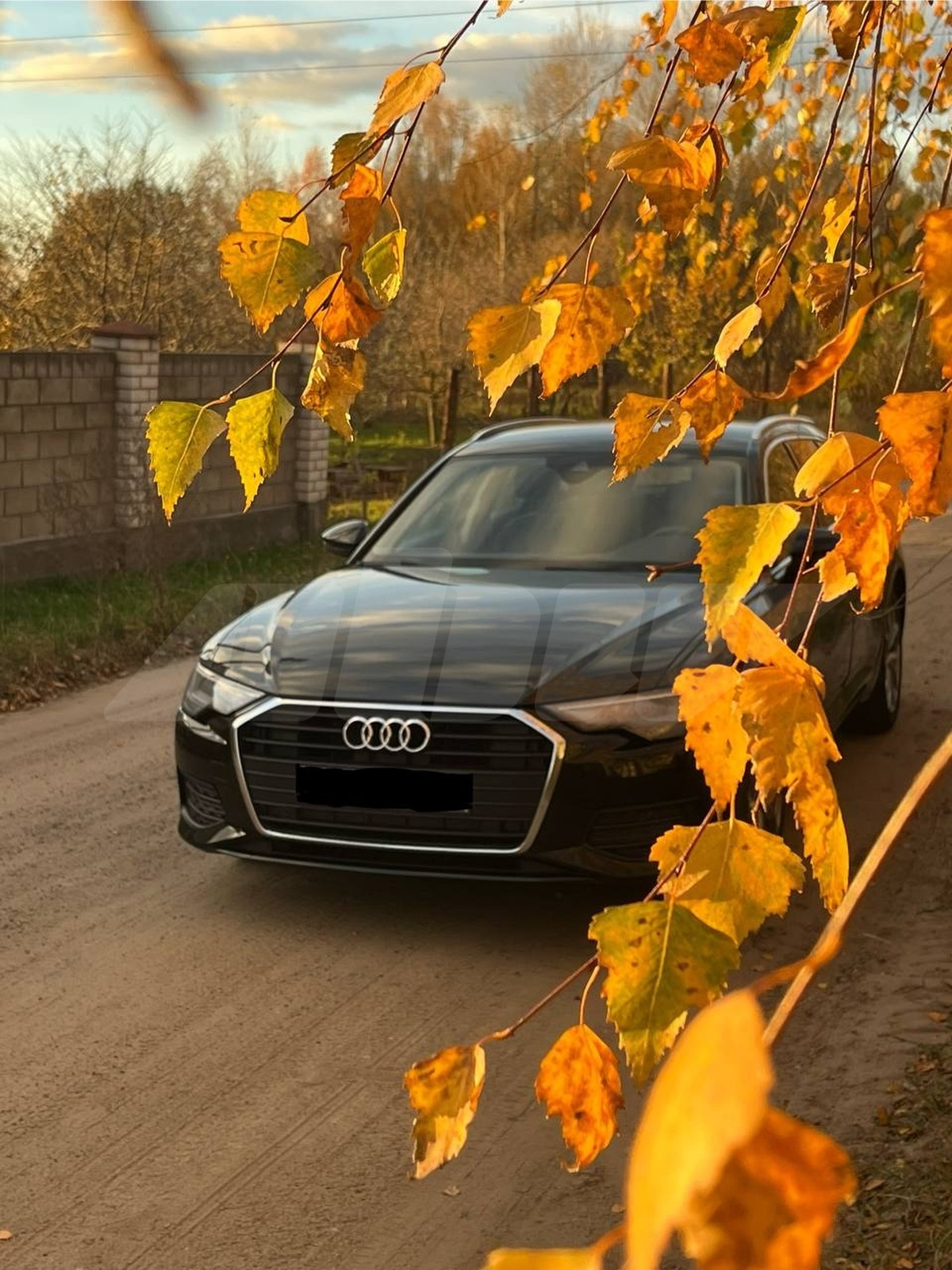 Audi A6 V (C8), 2019