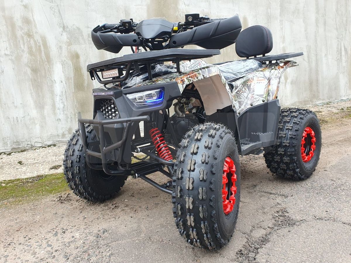спортивный Wels Thunder, 2024