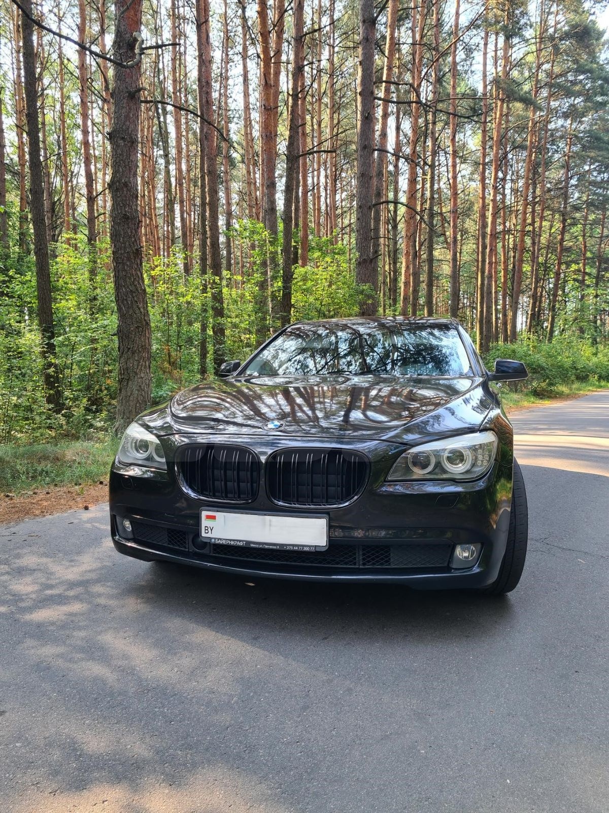 BMW 7 series V (F01/F02/F04), 2009