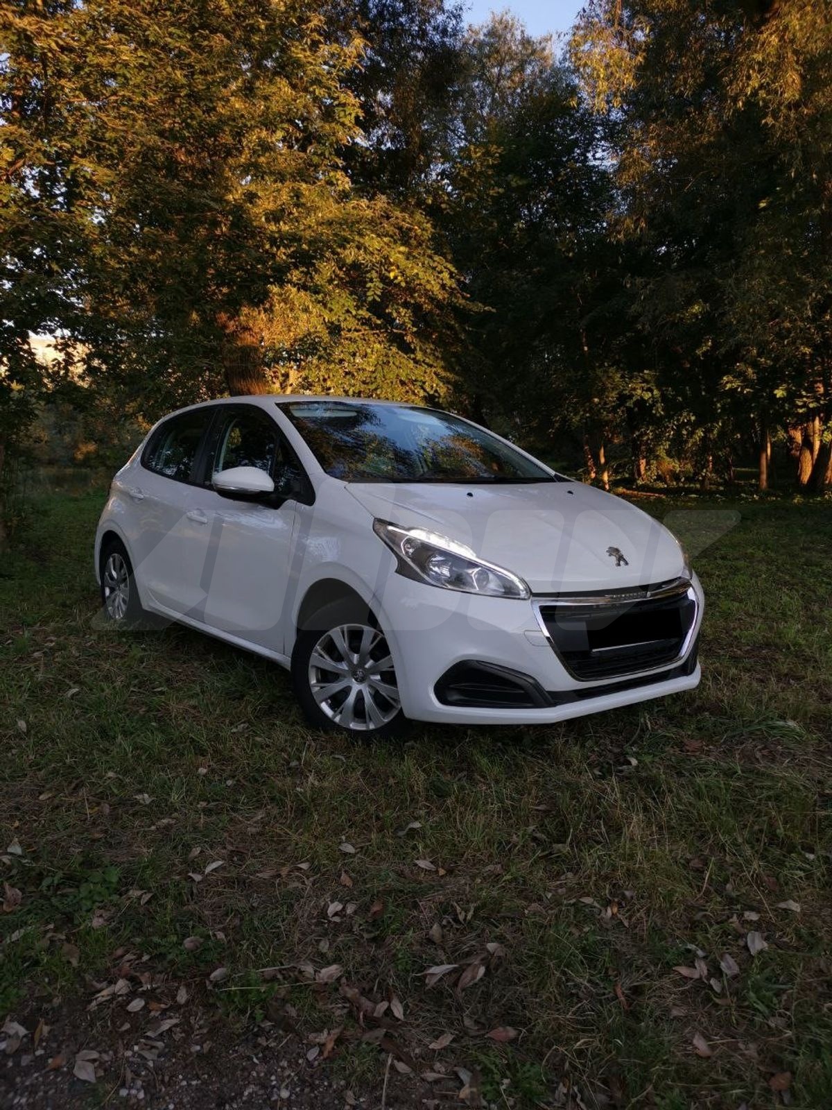 Peugeot 208 I Рестайлинг, 2017