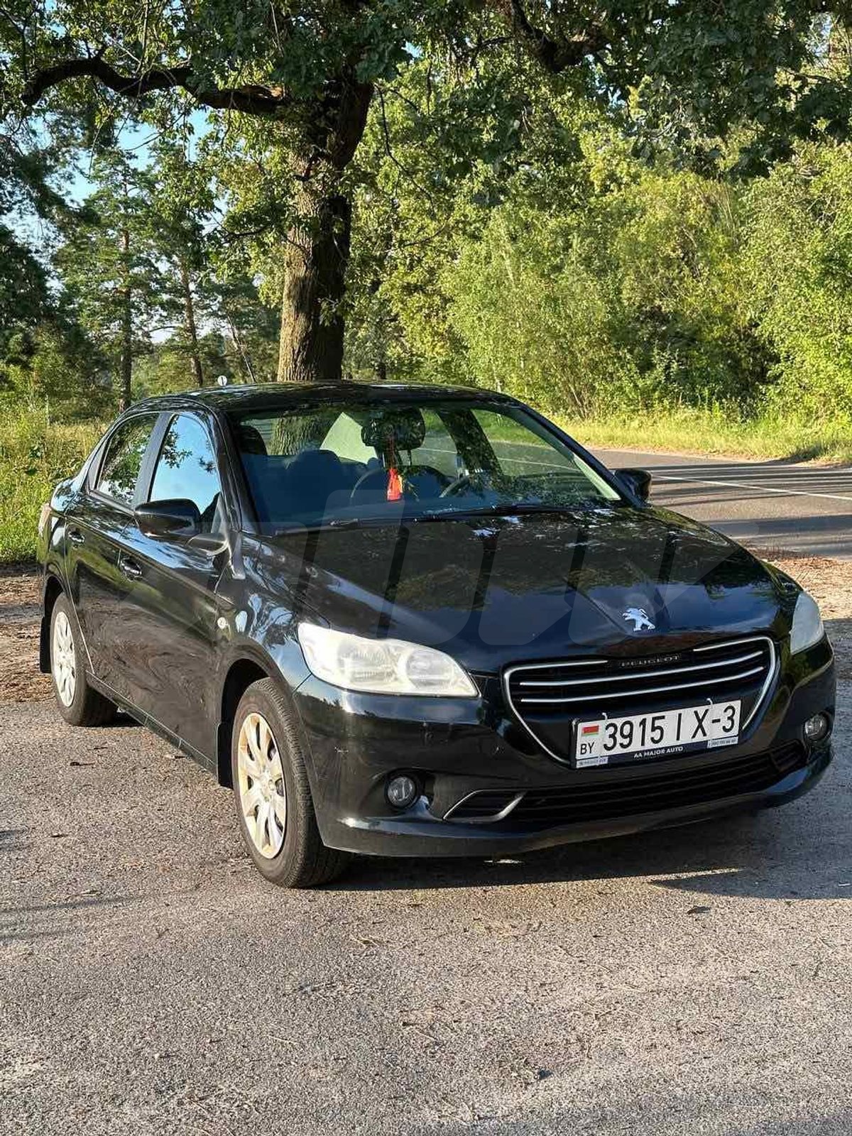 Peugeot 301 I, 2013