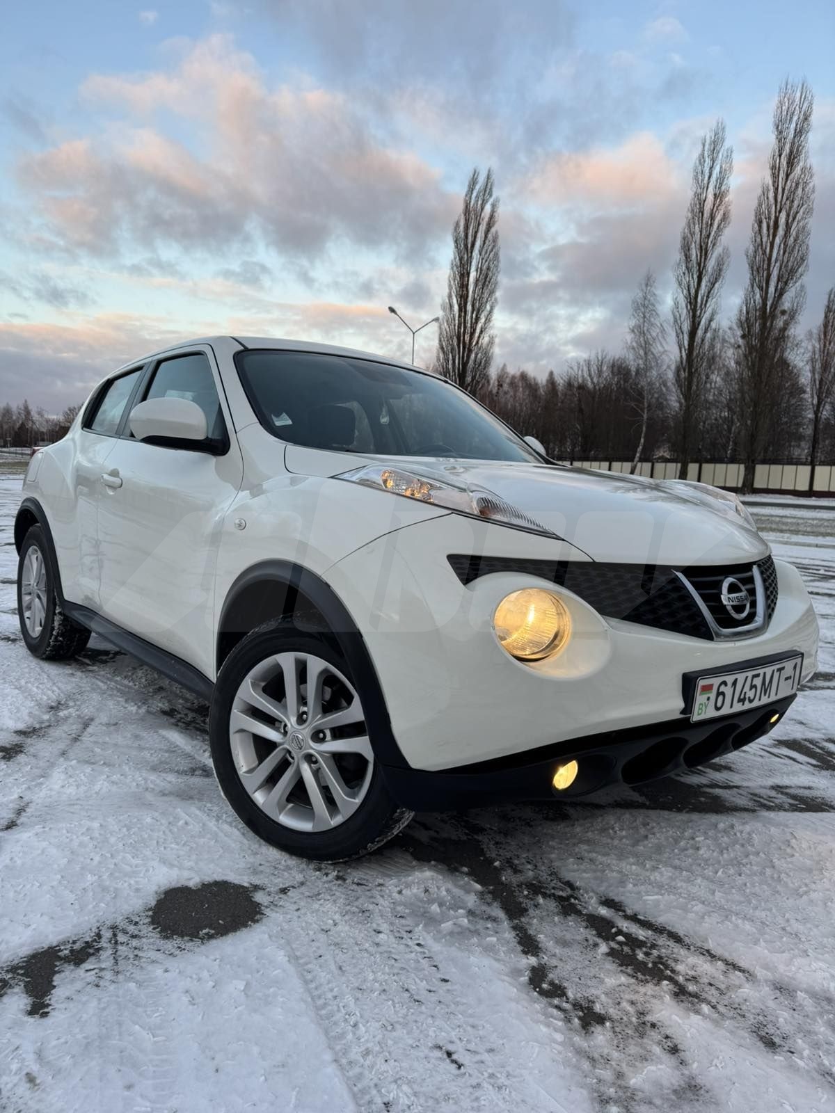Nissan Juke I, 2013