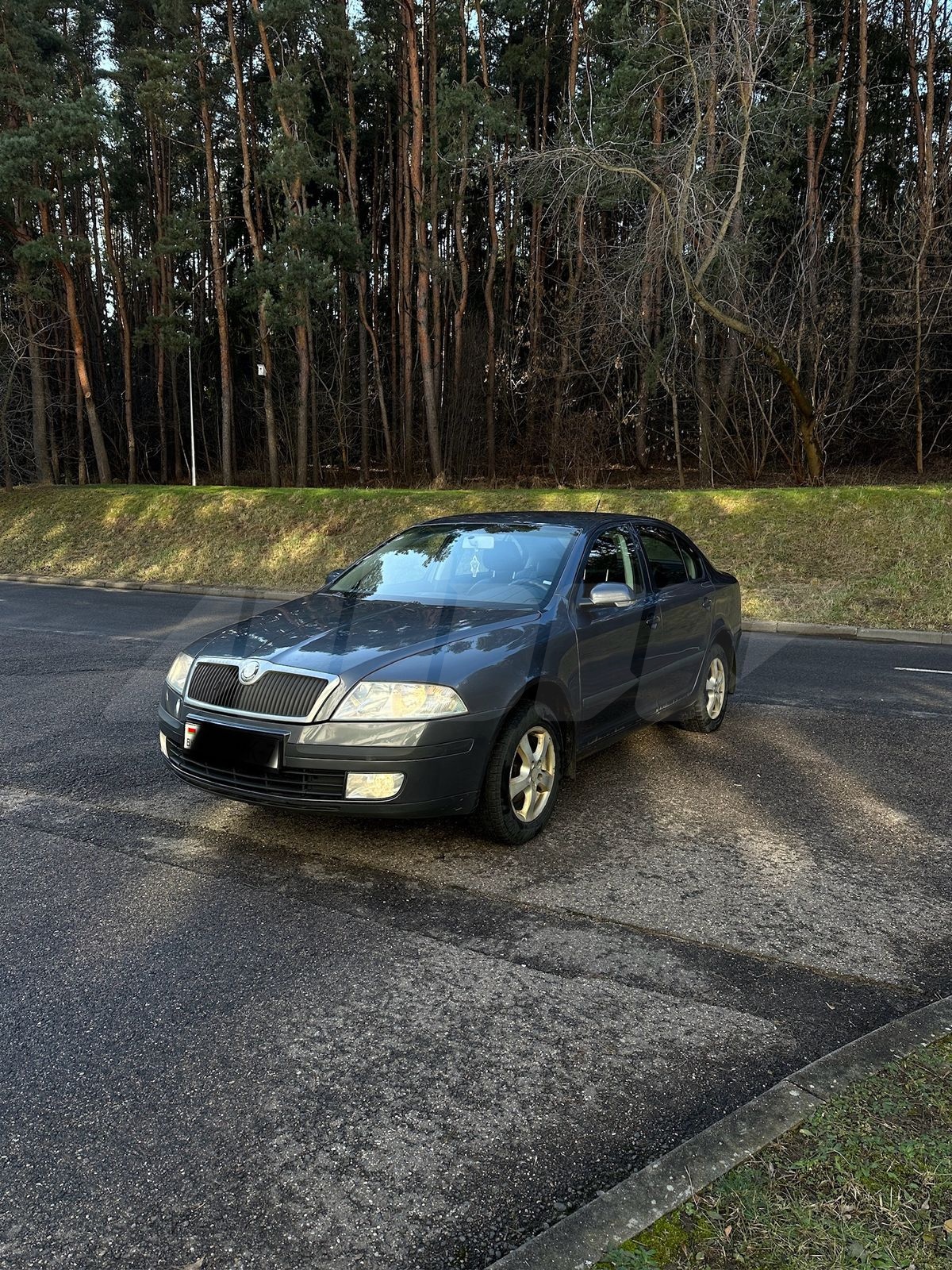 Skoda Octavia II (A5), 2007