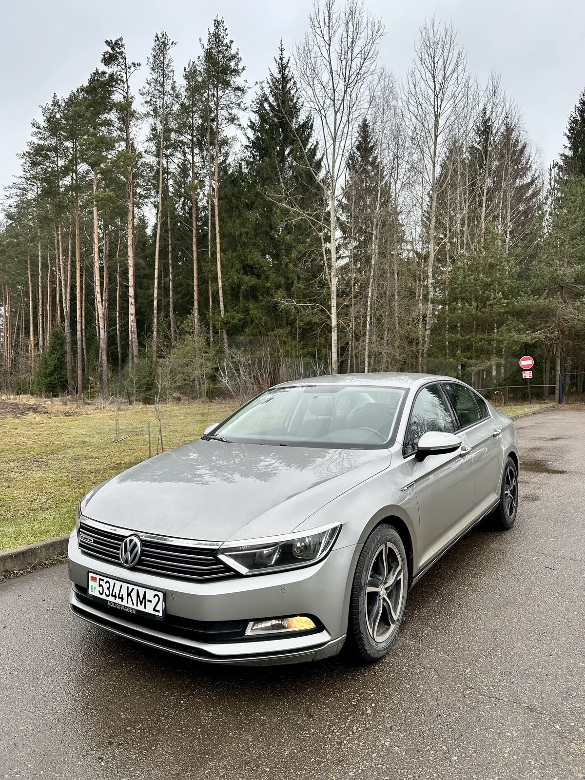 Volkswagen Passat B8, 2015