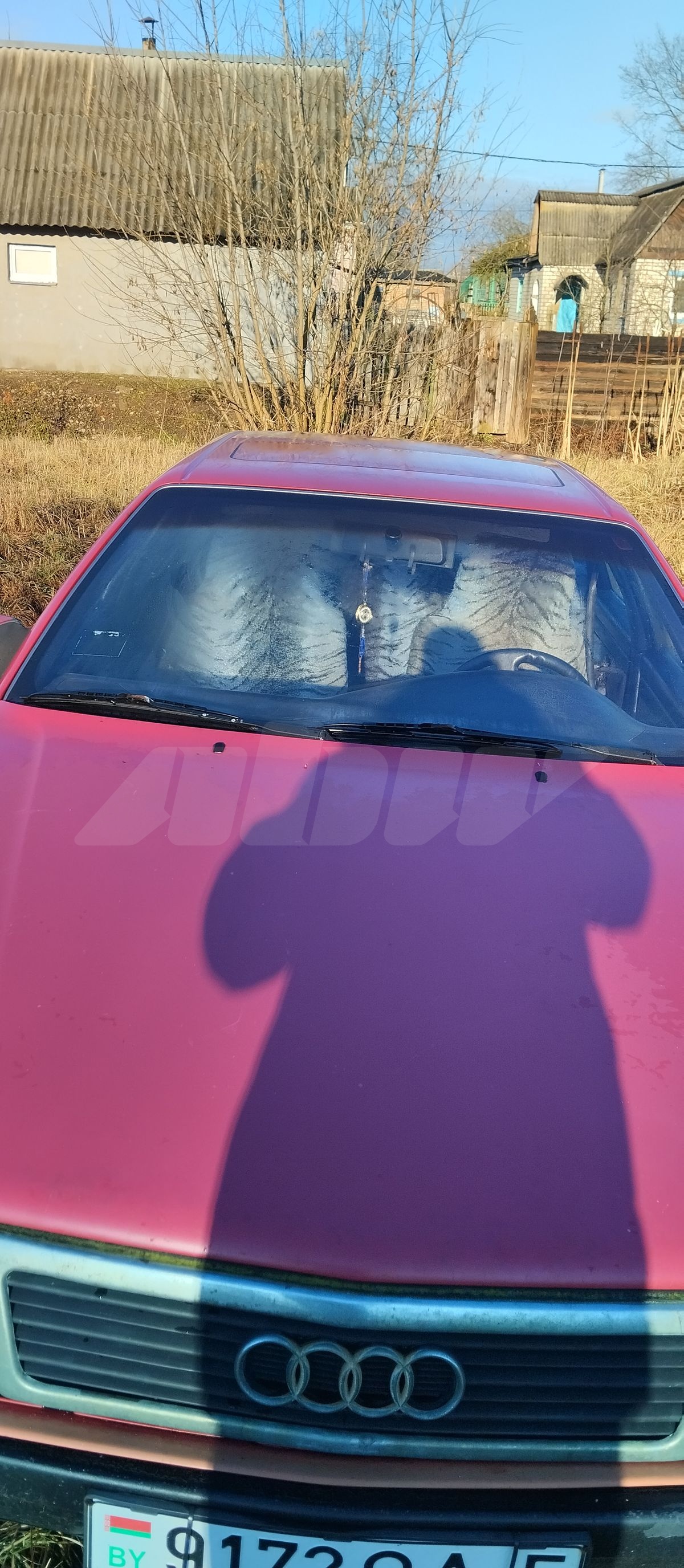 Audi 100 III (C3) Рестайлинг, 1988