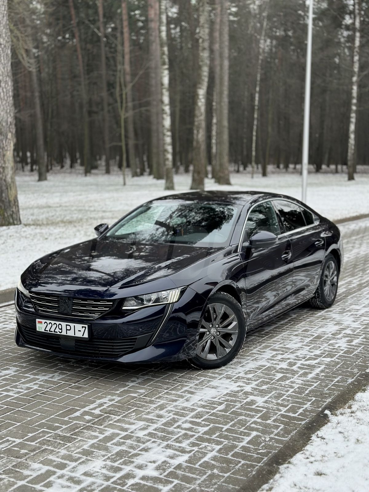 Peugeot 508 II, 2019