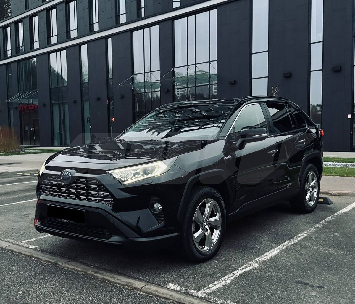 Toyota RAV 4 V (XA50), 2019