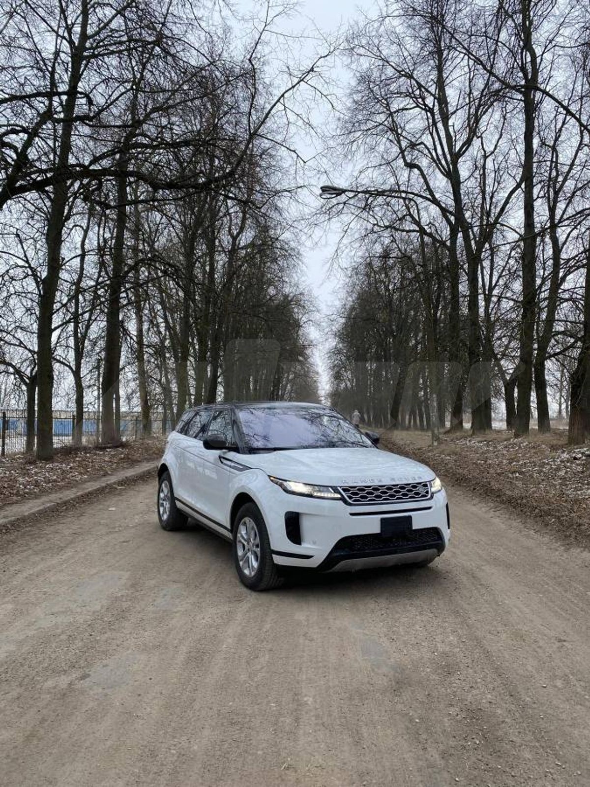 Land Rover Range Rover Evoque II, 2020