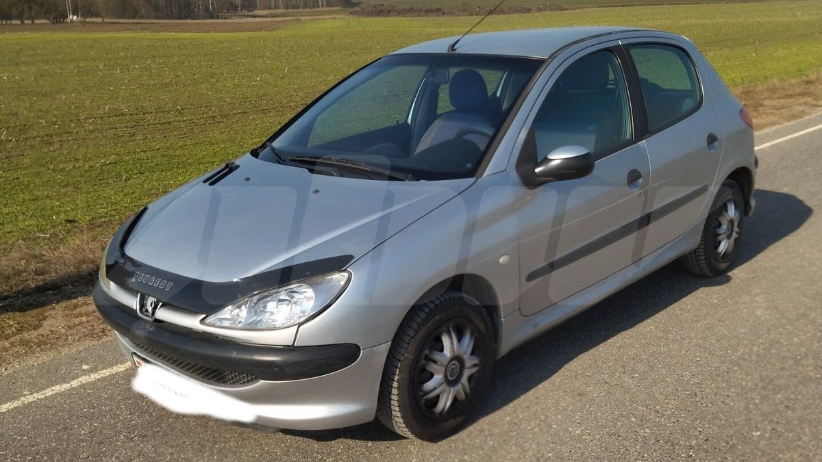 Peugeot 206 I, 2004