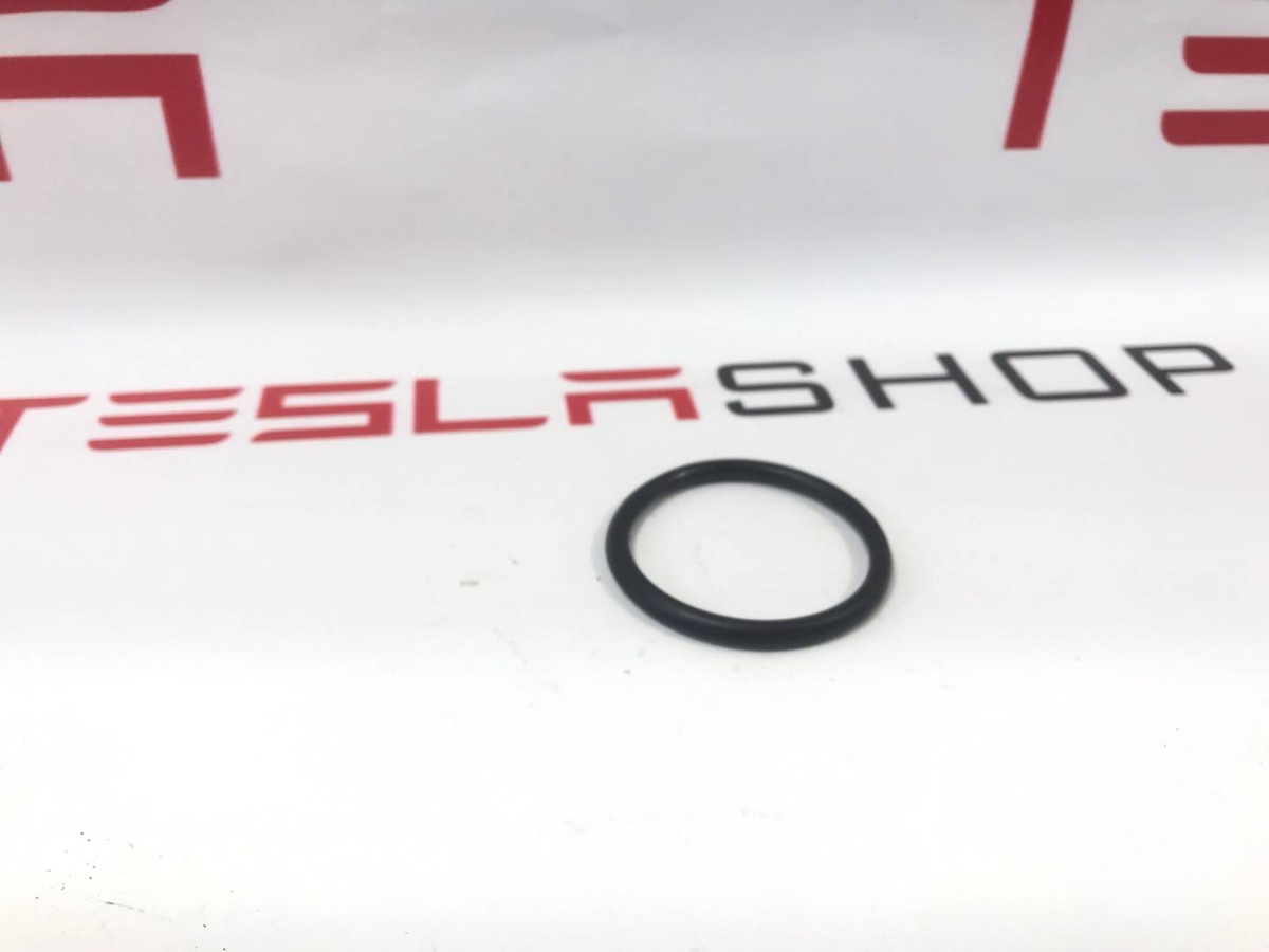 Пневмостойка передняя к Tesla Model S 2015