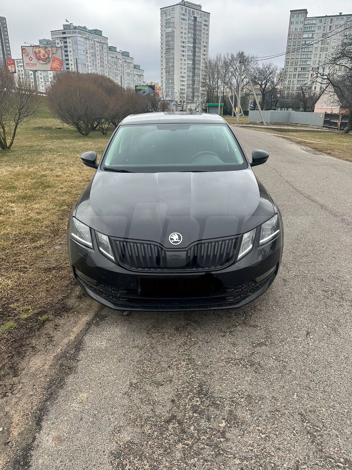 Skoda Octavia III (A7) Рестайлинг, 2019